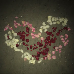 Meet your Posher, Carina